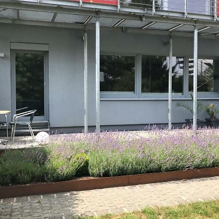 Wander- Und Aktivchalet Birkenfeld  Zewnętrze zdjęcie