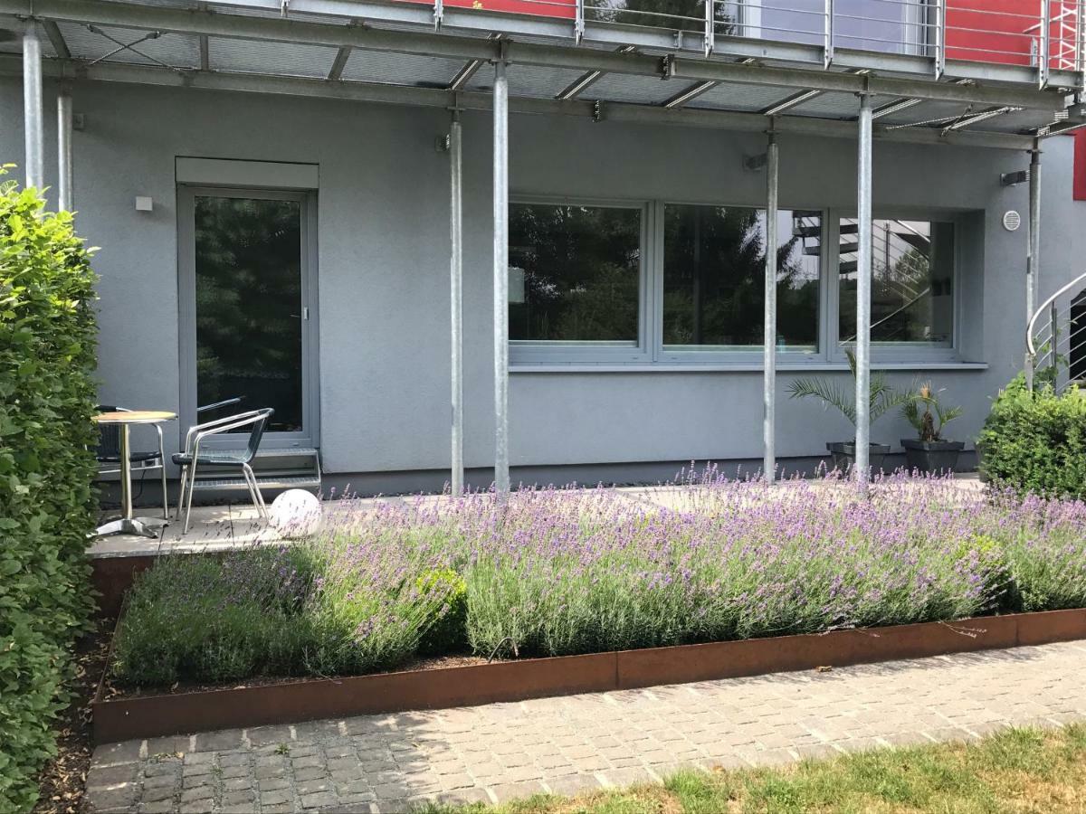 Wander- Und Aktivchalet Birkenfeld  Zewnętrze zdjęcie